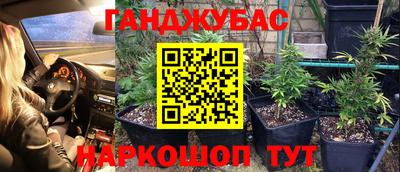 PSILOCYBIN Лесосибирск