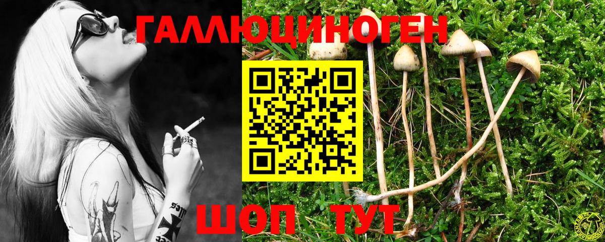 Южно-Сахалинск  Галлюциногенные грибы мицелий  Вход с VPN 