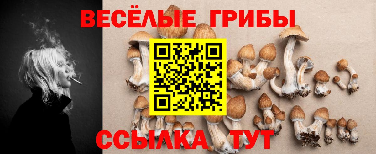 Псилоцибиновые грибы мицелий Южно-Сахалинск